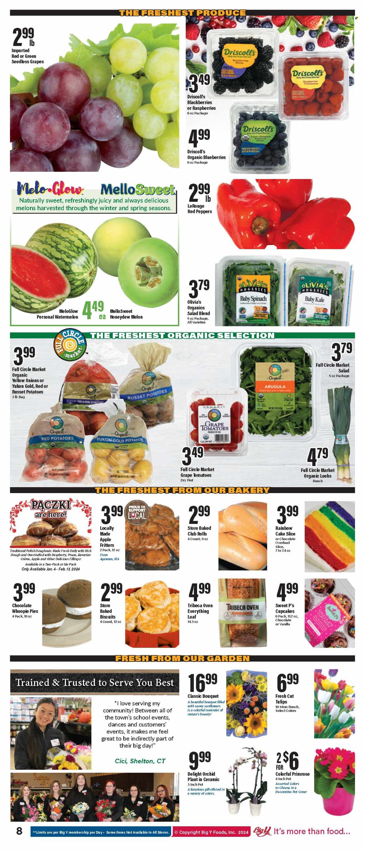 Big Y ad - 01/25/2024 - 01/31/2024. Page 9