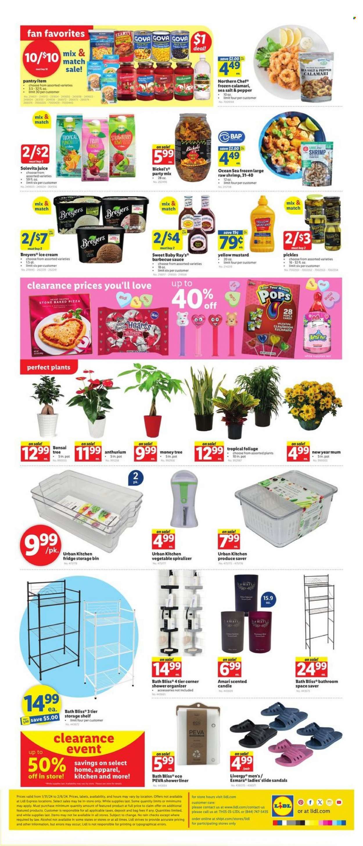 Lidl ad - 01/31/2024 - 02/06/2024. Page 3