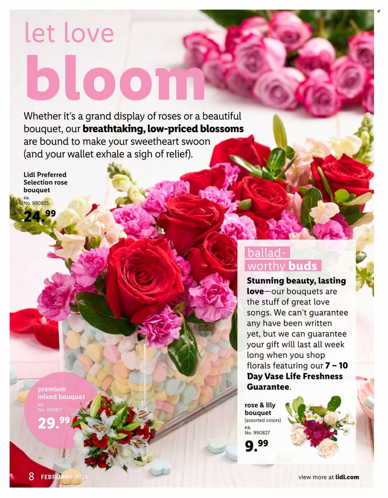 Lidl ad - 01/24/2024 - 02/20/2024. Page 8
