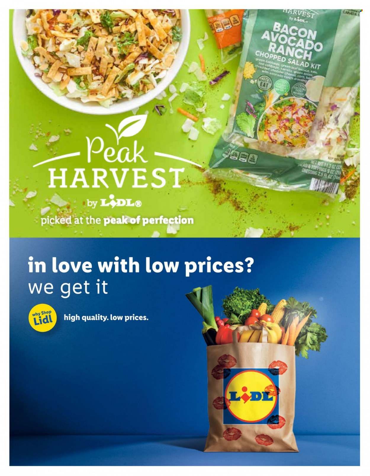 Lidl ad - 01/24/2024 - 02/20/2024. Page 17