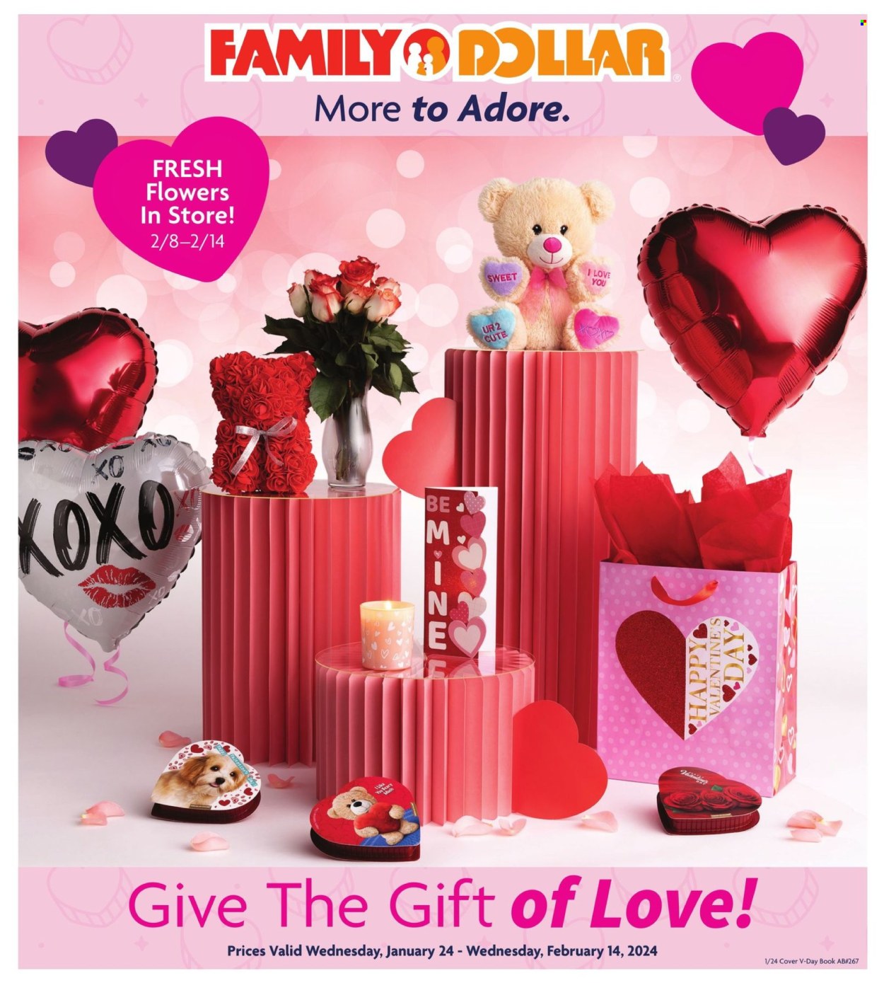 Family Dollar ad - 01/24/2024 - 02/14/2024. Page 1