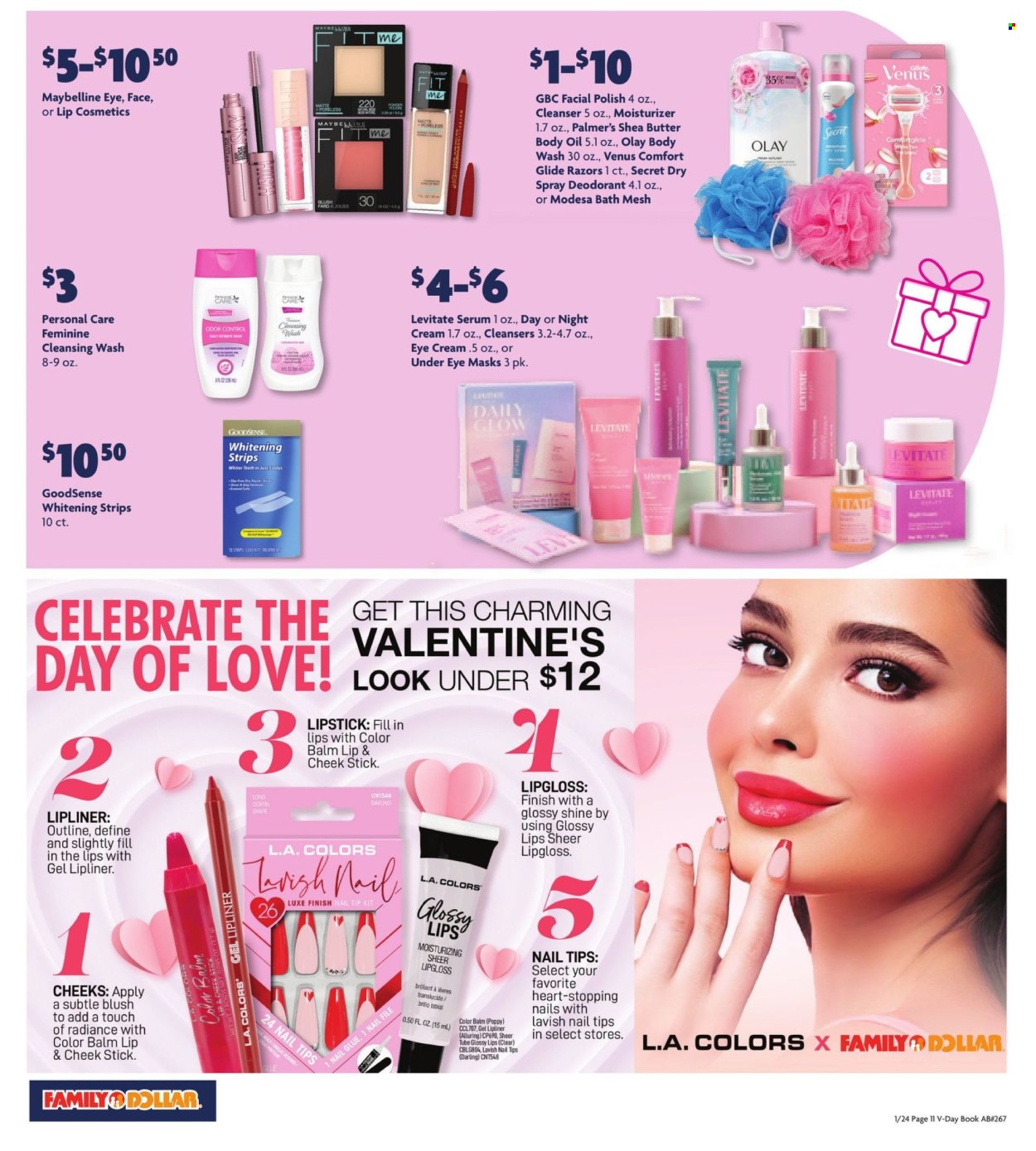 Family Dollar ad - 01/24/2024 - 02/14/2024. Page 11