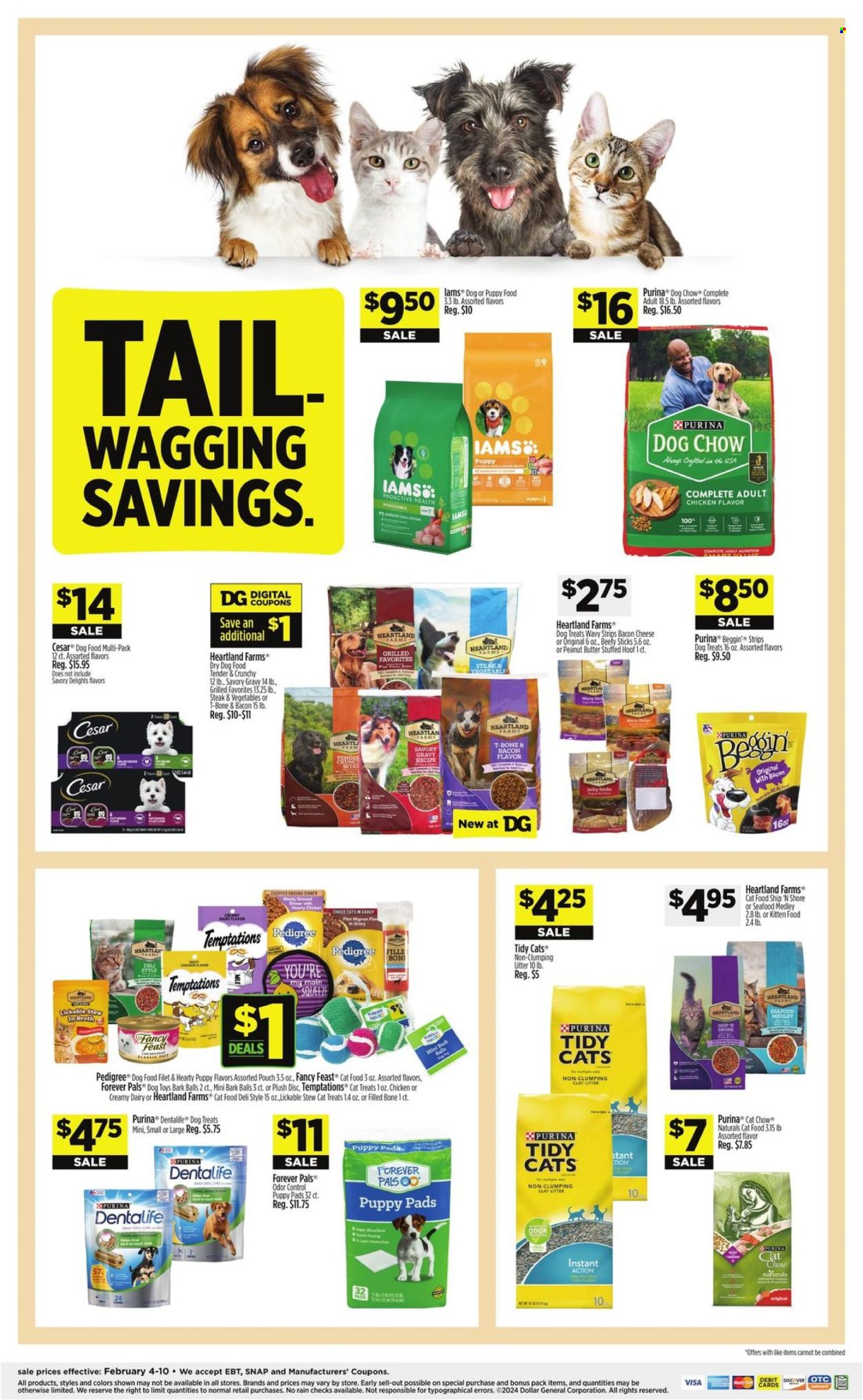 Dollar General ad - 02/04/2024 - 02/10/2024. Page 9