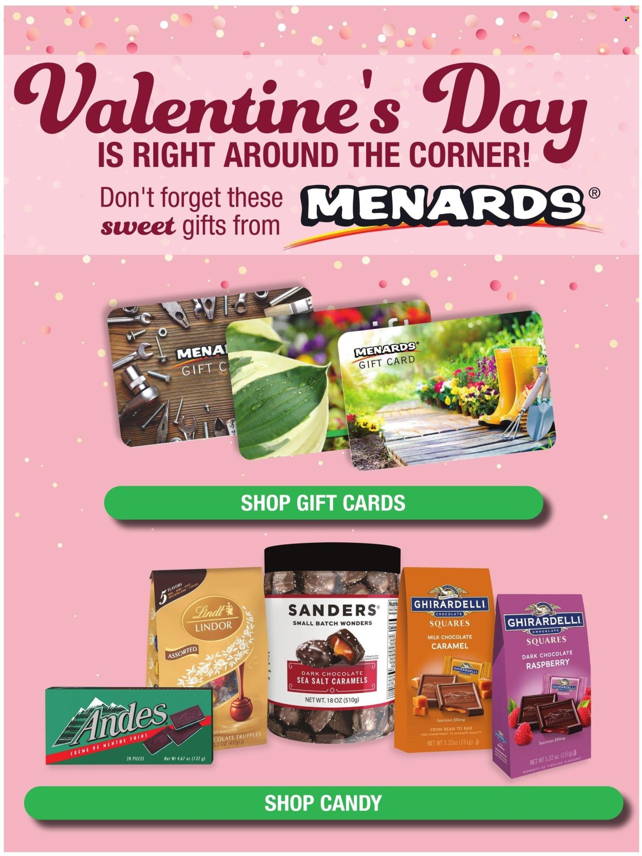 Menards ad - 02/08/2024 - 02/18/2024. Page 17