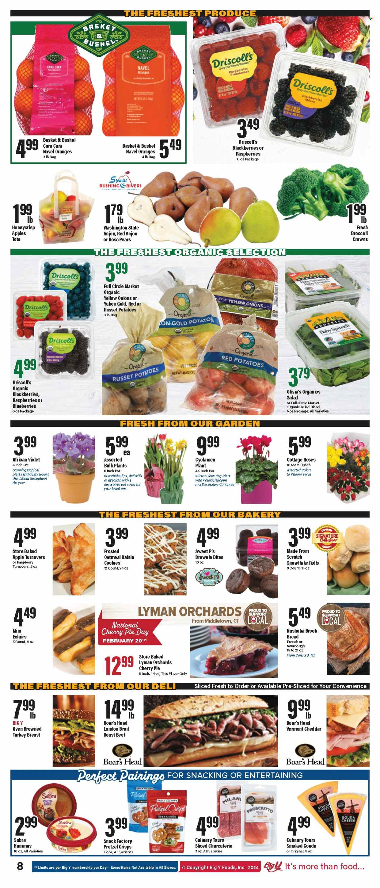 Big Y ad - 02/15/2024 - 02/21/2024. Page 9