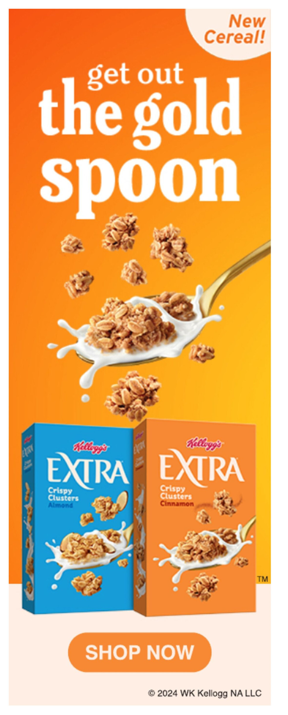 Stop & Shop ad - 02/16/2024 - 02/22/2024. Page 10
