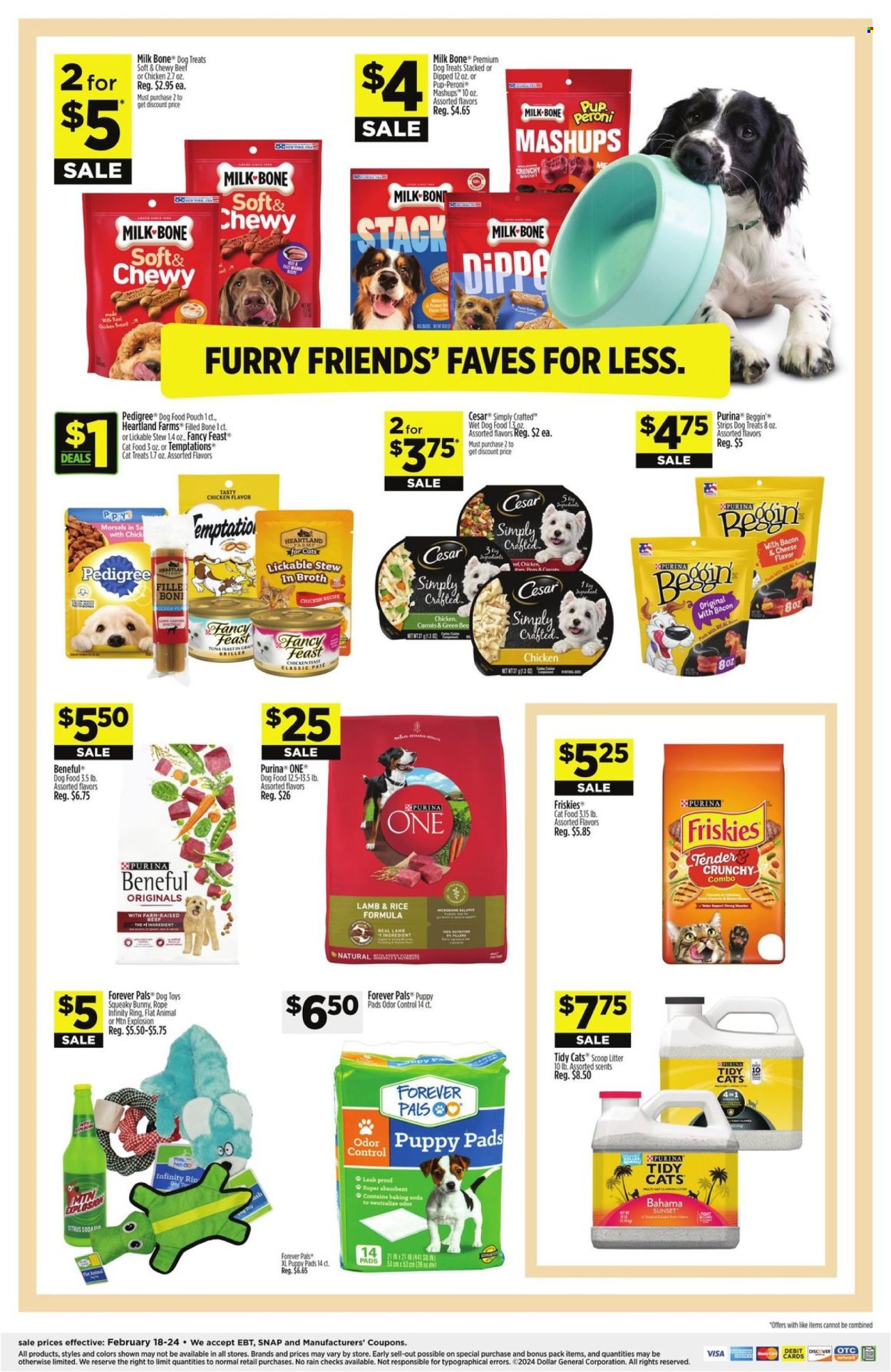 Dollar General ad - 02/18/2024 - 02/24/2024. Page 8
