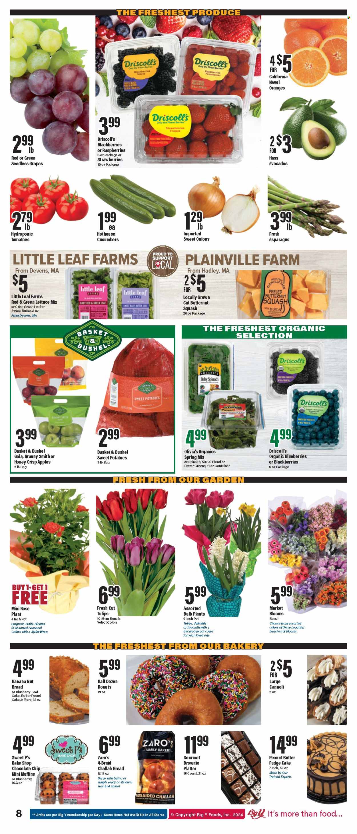 Big Y ad - 02/22/2024 - 02/28/2024. Page 10