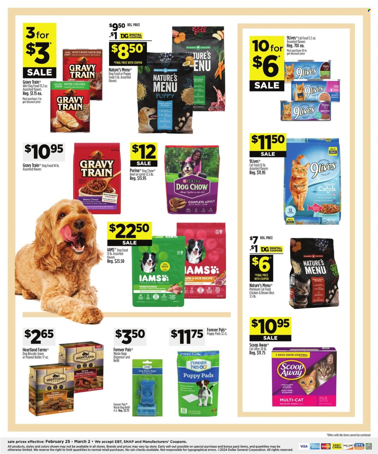 Dollar General ad - 02/25/2024 - 03/02/2024. Page 9