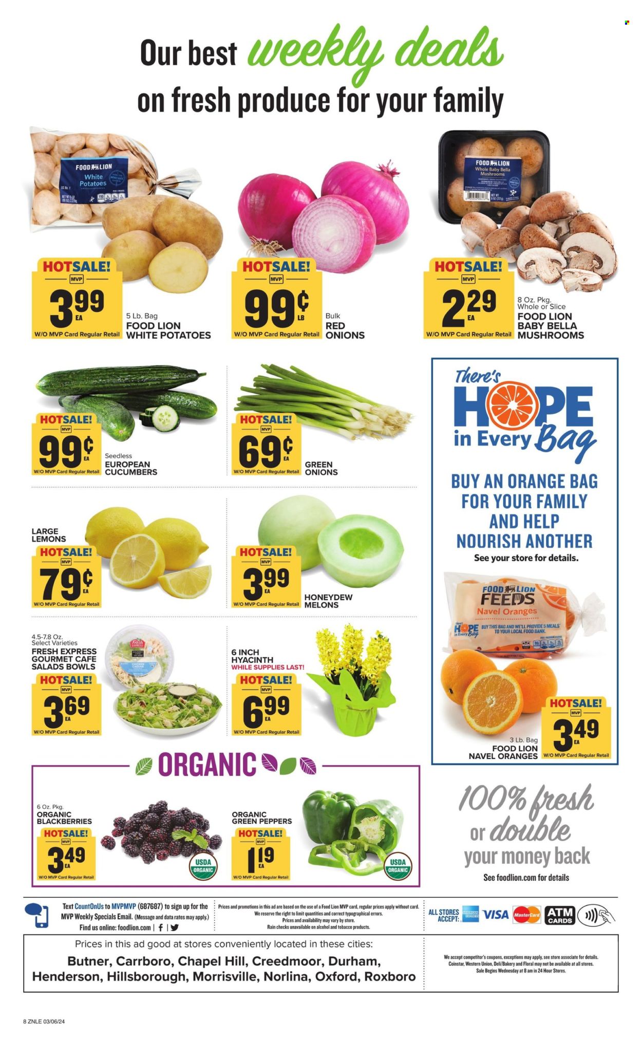 Food Lion ad - 03/06/2024 - 03/12/2024. Page 8