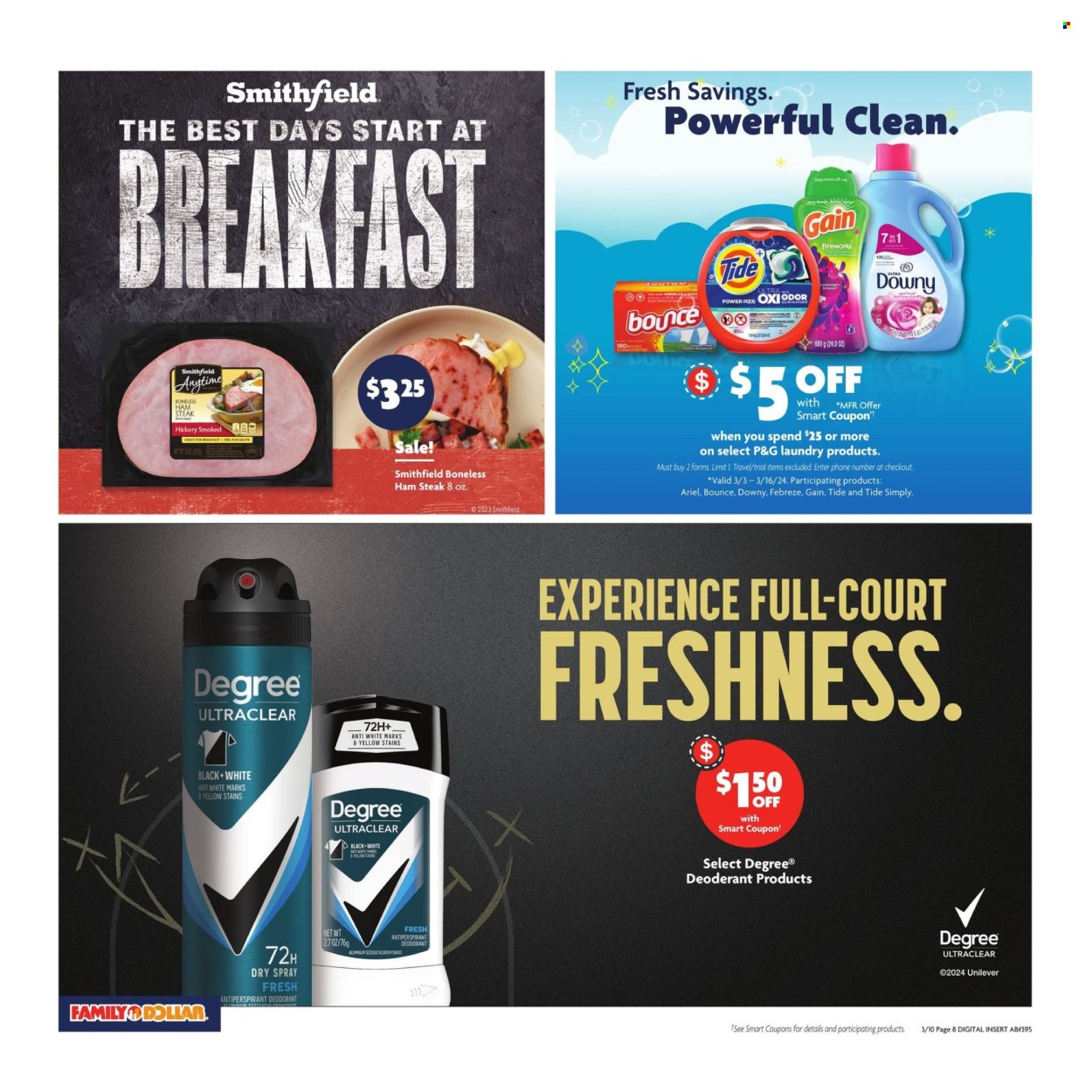 Family Dollar ad - 03/10/2024 - 03/16/2024. Page 10