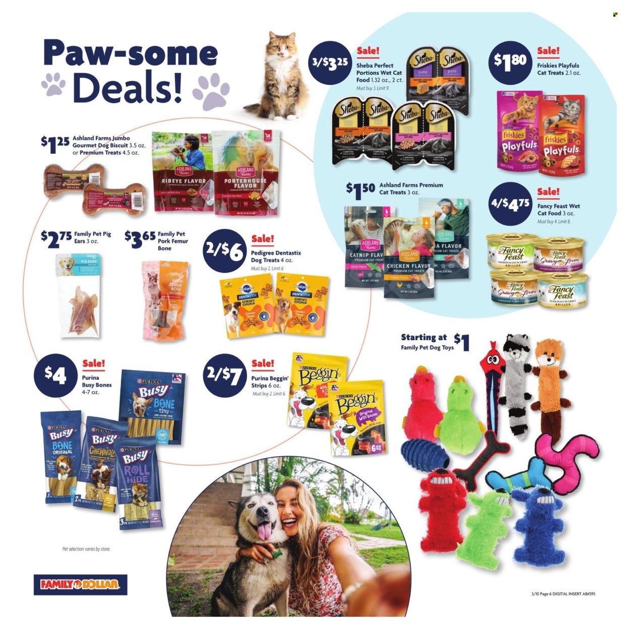 Family Dollar ad - 03/10/2024 - 03/16/2024. Page 13