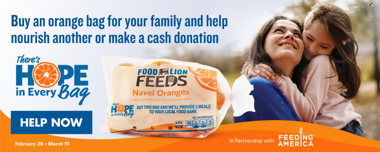 Food Lion ad - 03/13/2024 - 03/19/2024. Page 14