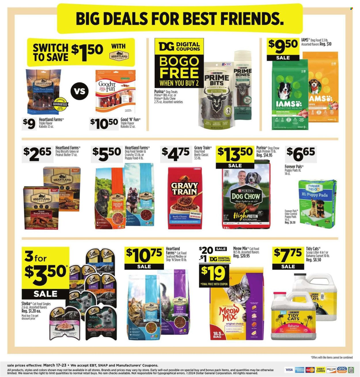Dollar General ad - 03/17/2024 - 03/23/2024. Page 9