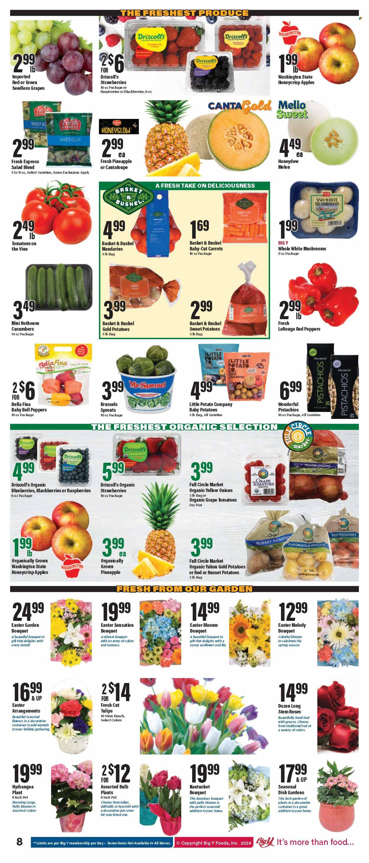 Big Y ad - 03/21/2024 - 03/27/2024. Page 9
