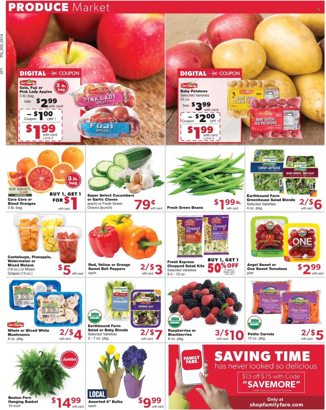 Family Fare ad - 04/14/2024 - 04/20/2024. Page 4