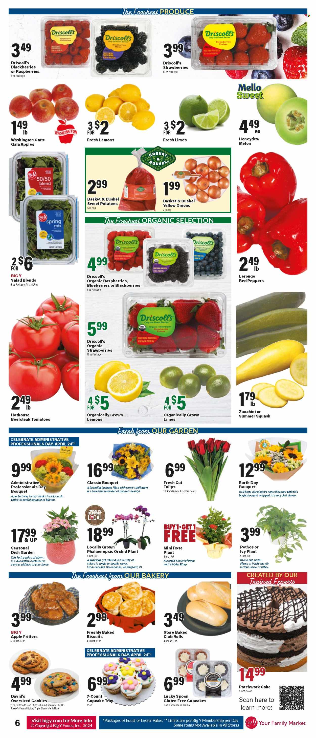 Big Y ad - 04/18/2024 - 04/24/2024. Page 7