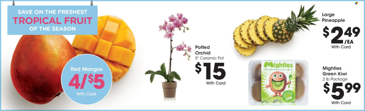 Pick ‘n Save ad - 04/24/2024 - 04/30/2024. Page 11