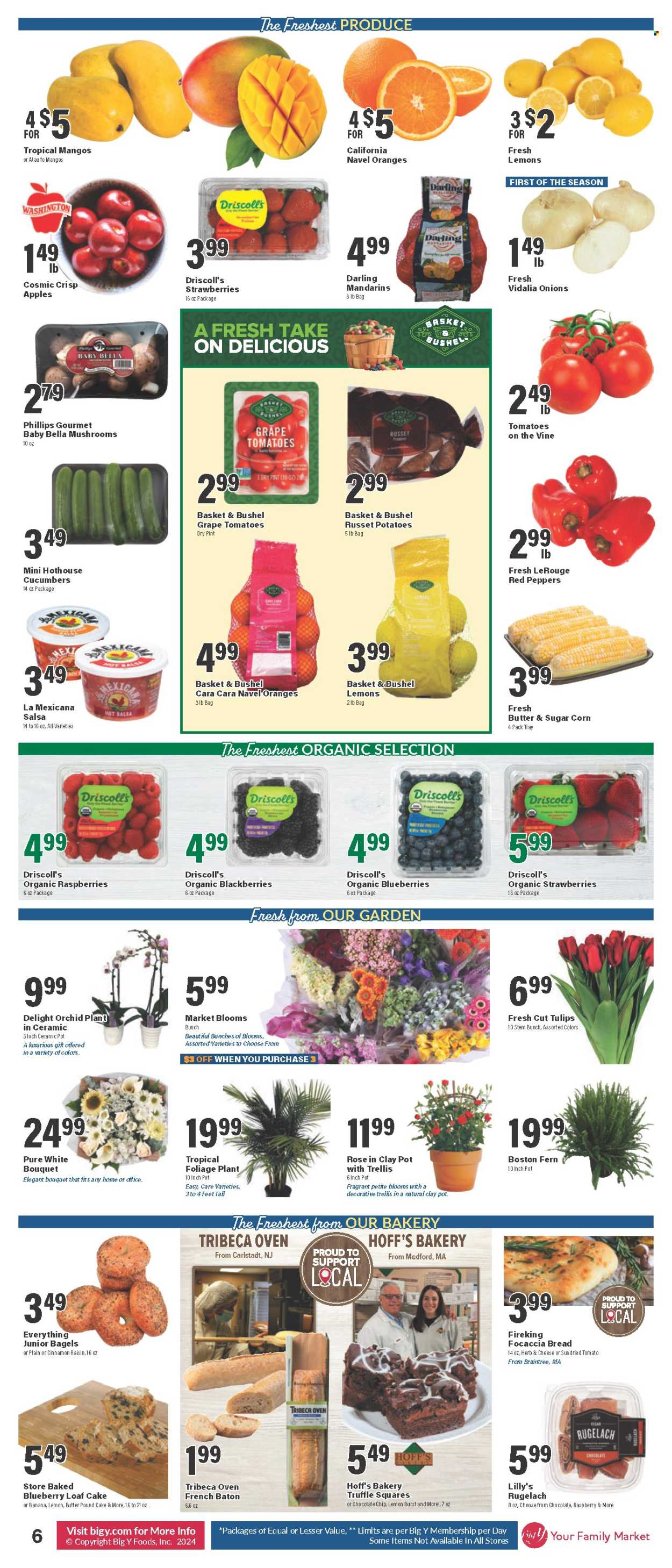 Big Y ad - 04/25/2024 - 05/01/2024. Page 7