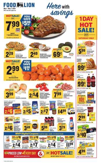 Food Lion Flyer - 05/01/2024 - 05/07/2024.