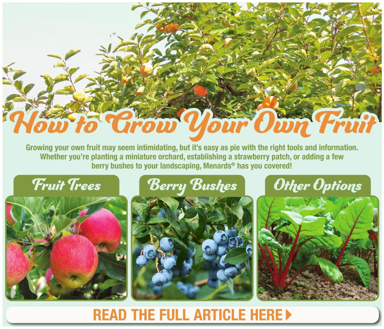Menards ad - 05/09/2024 - 05/19/2024. Page 3