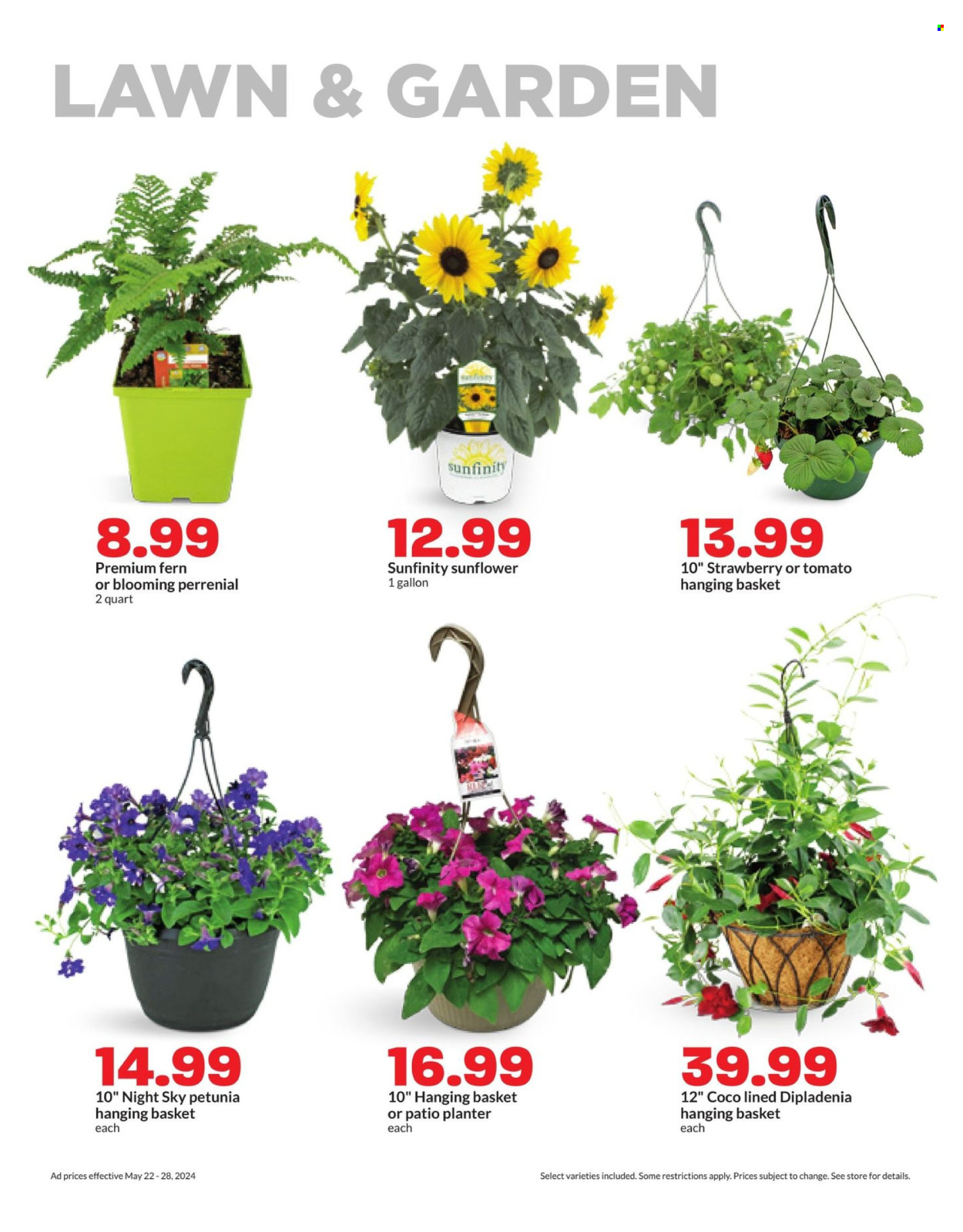 Hy-Vee ad - 05/22/2024 - 05/28/2024. Page 29