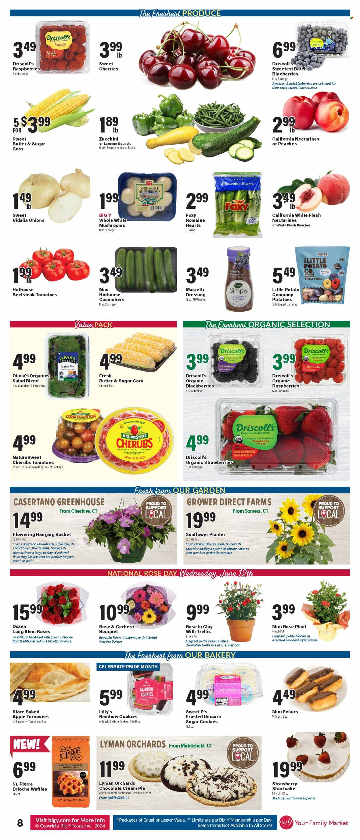 Big Y ad - 06/06/2024 - 06/12/2024. Page 9