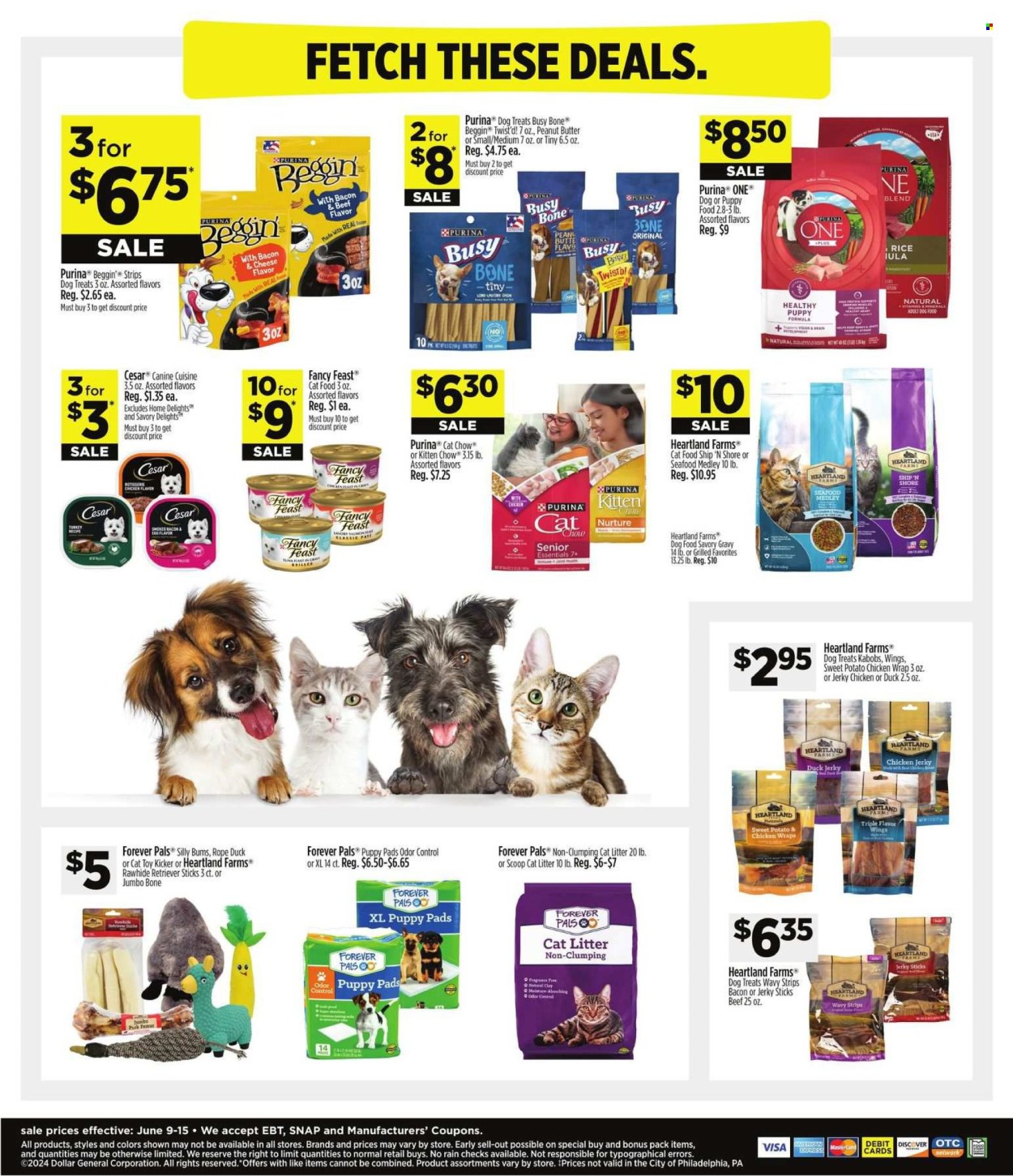 Dollar General ad - 06/09/2024 - 06/15/2024. Page 8