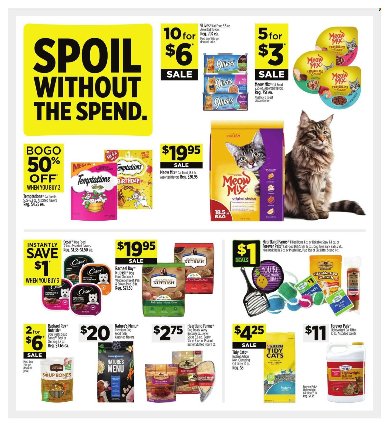 Dollar General ad - 06/16/2024 - 06/22/2024. Page 9