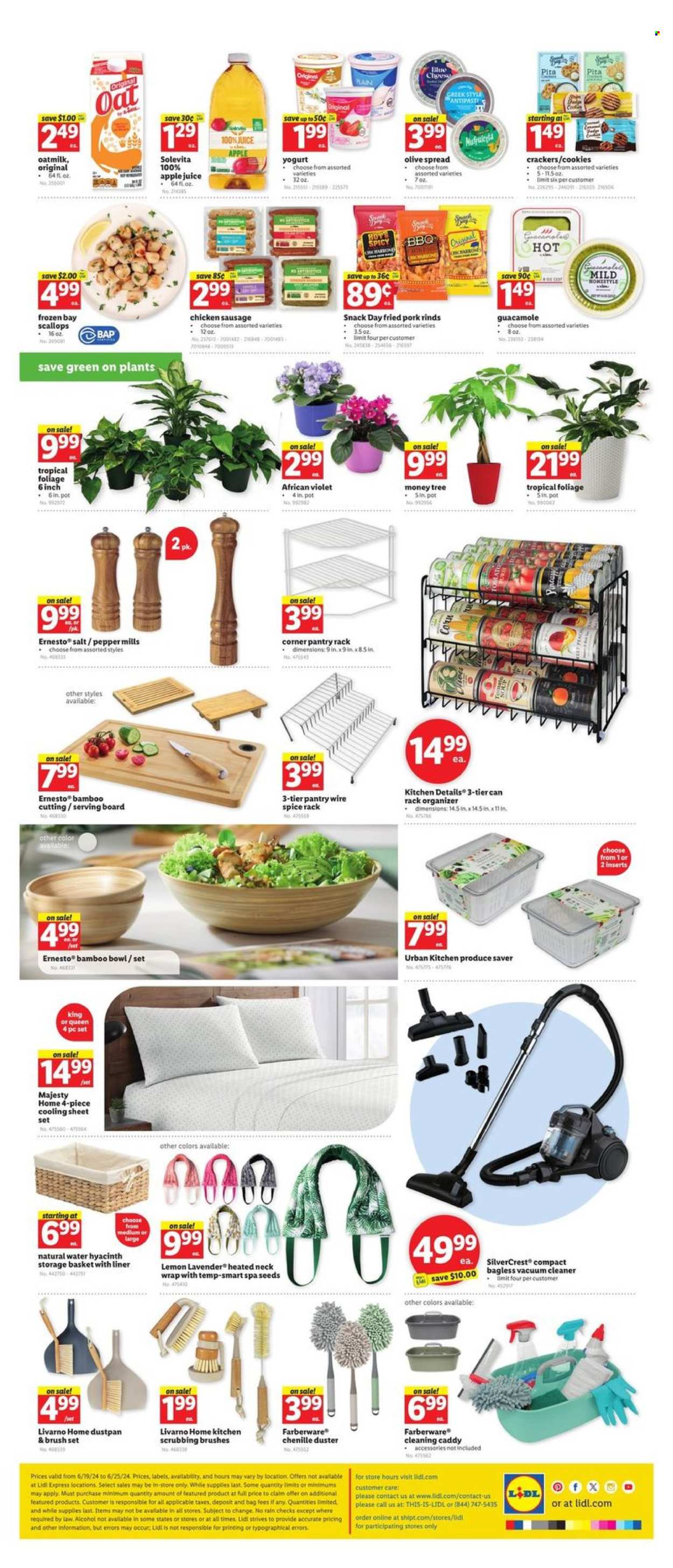 Lidl ad - 06/19/2024 - 06/25/2024. Page 3