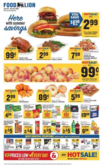 Food Lion Flyer - 06/19/2024 - 06/25/2024.