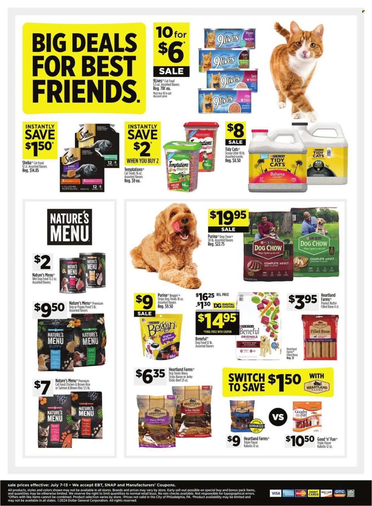 Dollar General ad - 07/07/2024 - 07/13/2024. Page 8