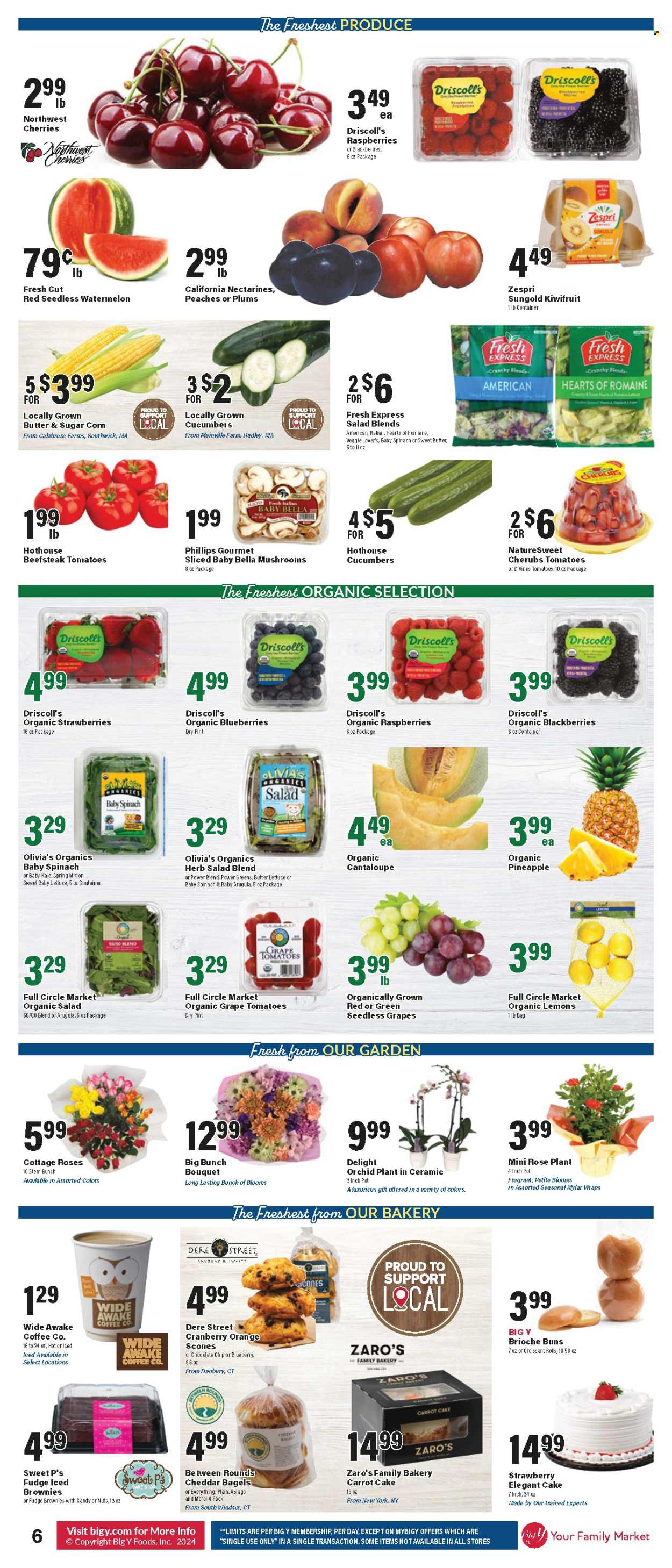 Big Y ad - 07/11/2024 - 07/17/2024. Page 7