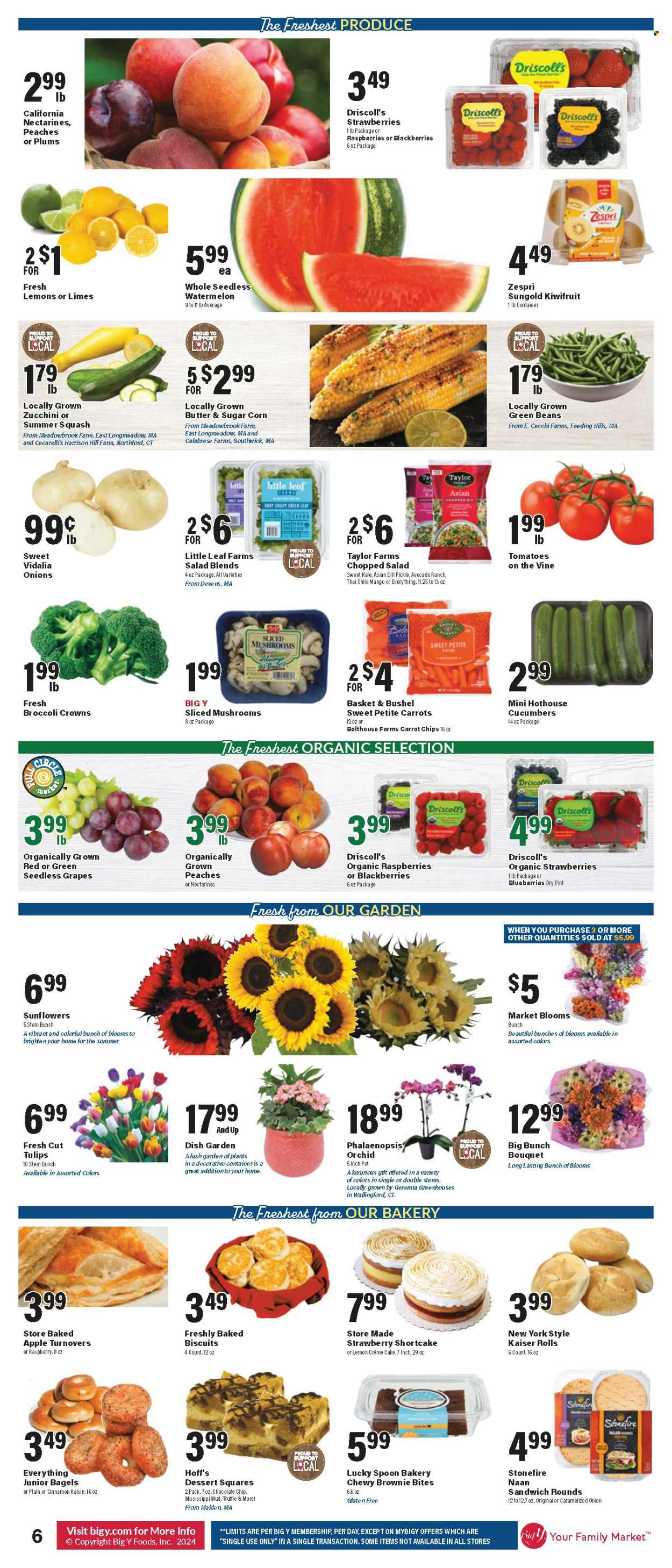 Big Y ad - 07/18/2024 - 07/24/2024. Page 7