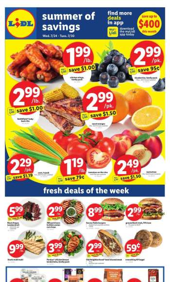 Lidl Flyer - 07/24/2024 - 07/30/2024.