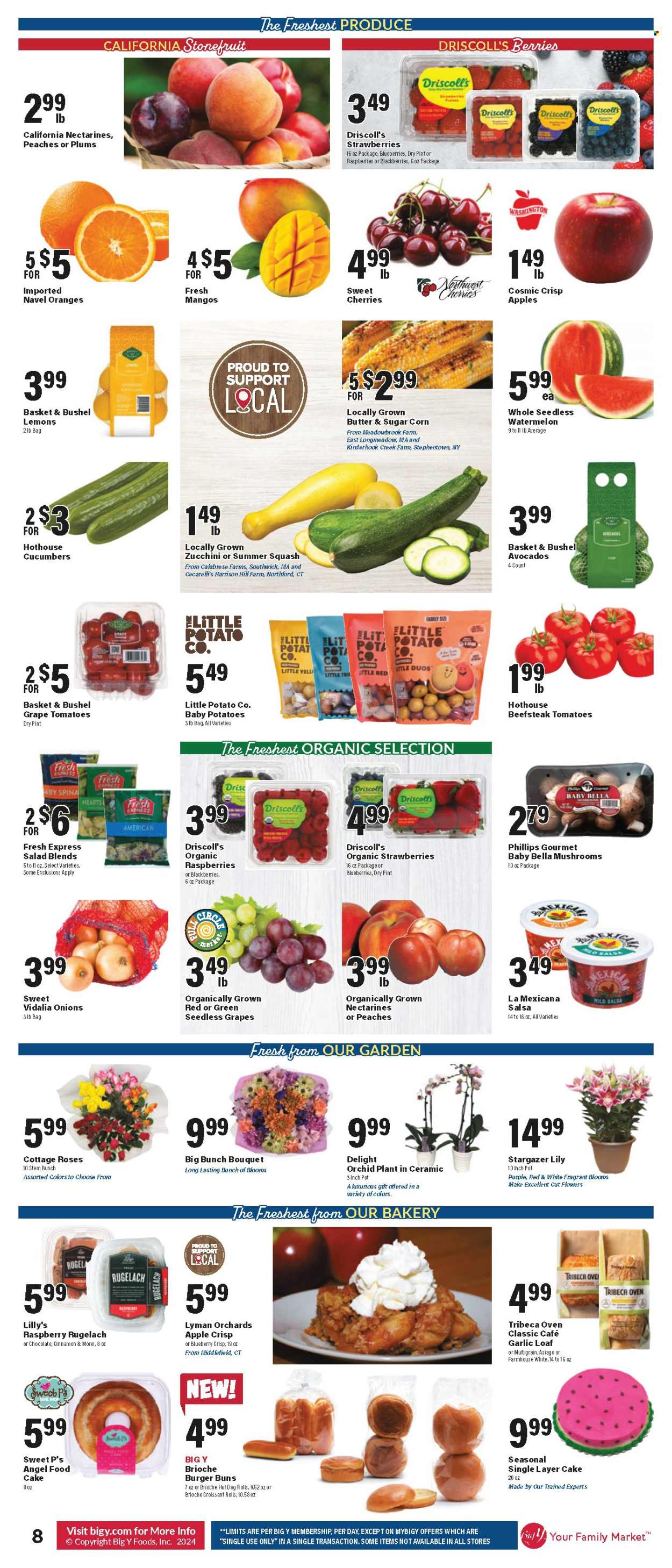 Big Y ad - 07/25/2024 - 07/31/2024. Page 11