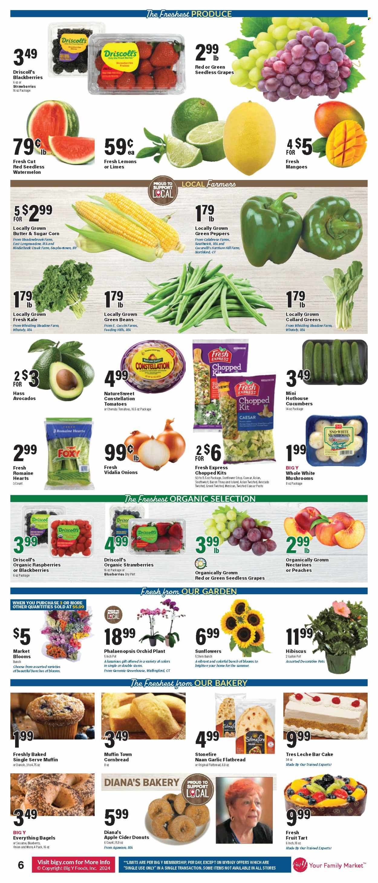 Big Y ad - 08/01/2024 - 08/07/2024. Page 9
