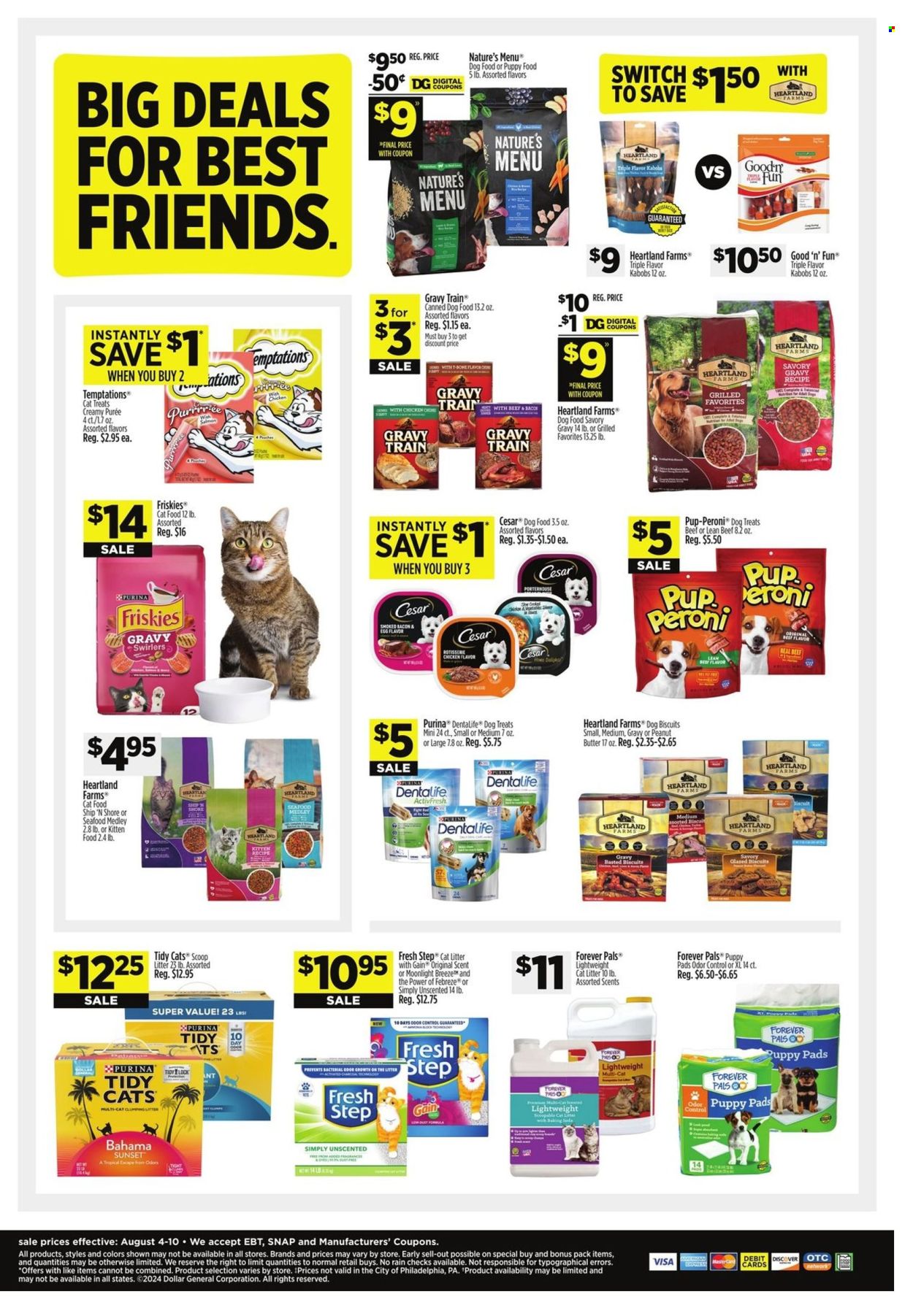 Dollar General ad - 08/04/2024 - 08/10/2024. Page 7
