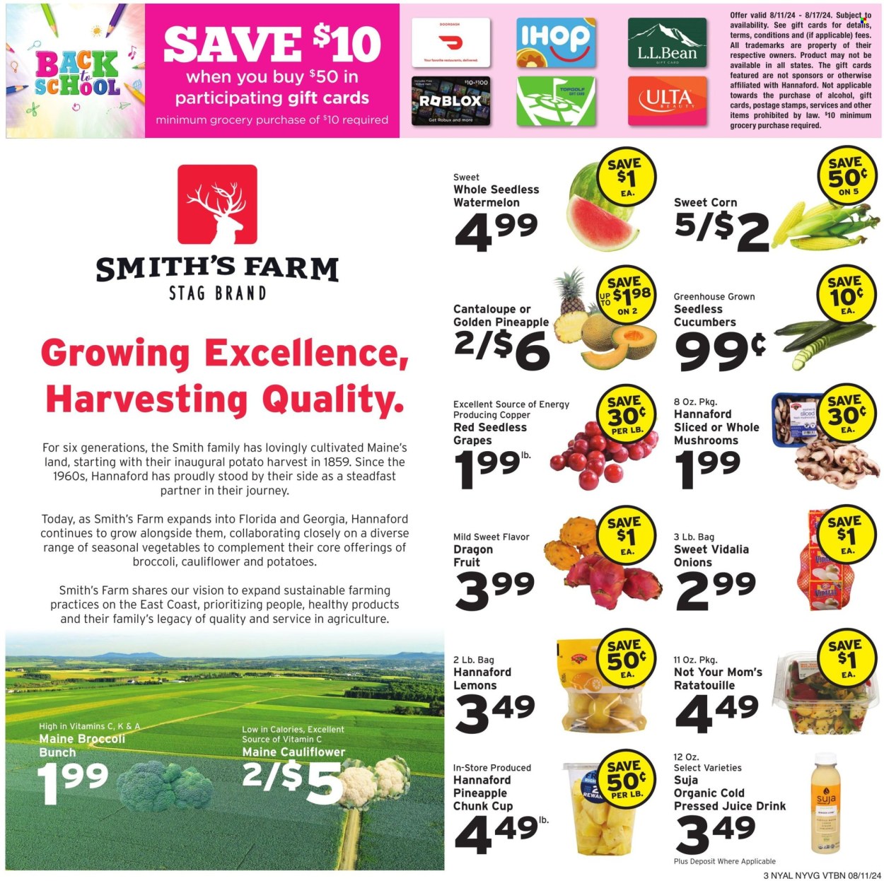 Hannaford ad - 08/11/2024 - 08/17/2024. Page 3