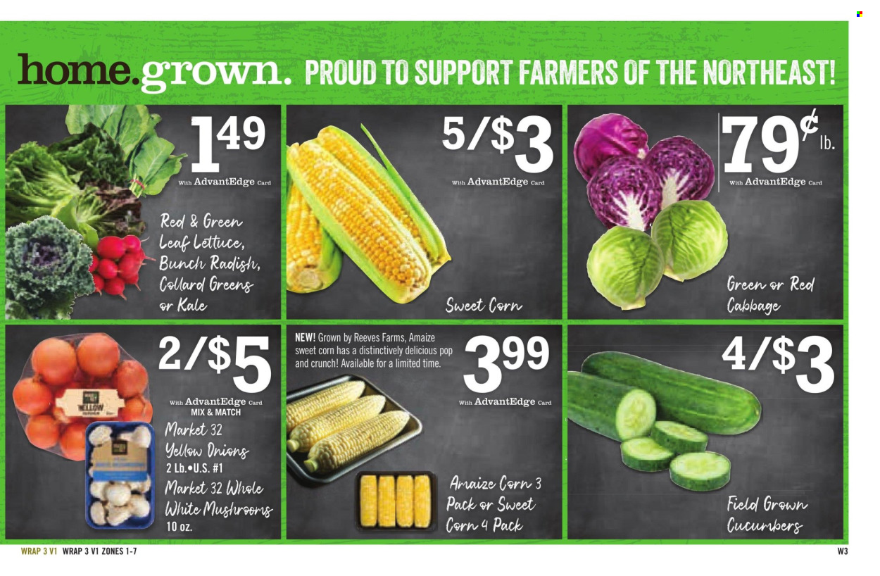 Price Chopper ad - 08/11/2024 - 08/17/2024. Page 15