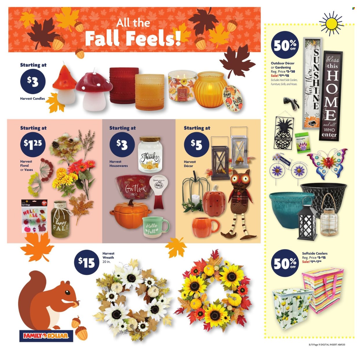 Family Dollar ad - 08/11/2024 - 08/17/2024. Page 9