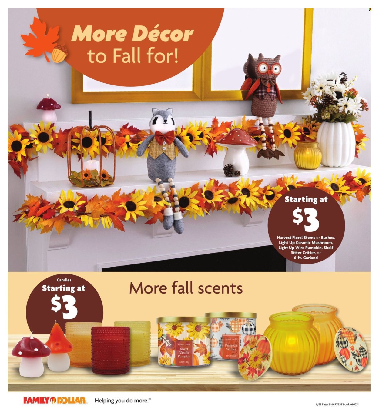 Family Dollar ad - 08/12/2024 - 10/31/2024. Page 3