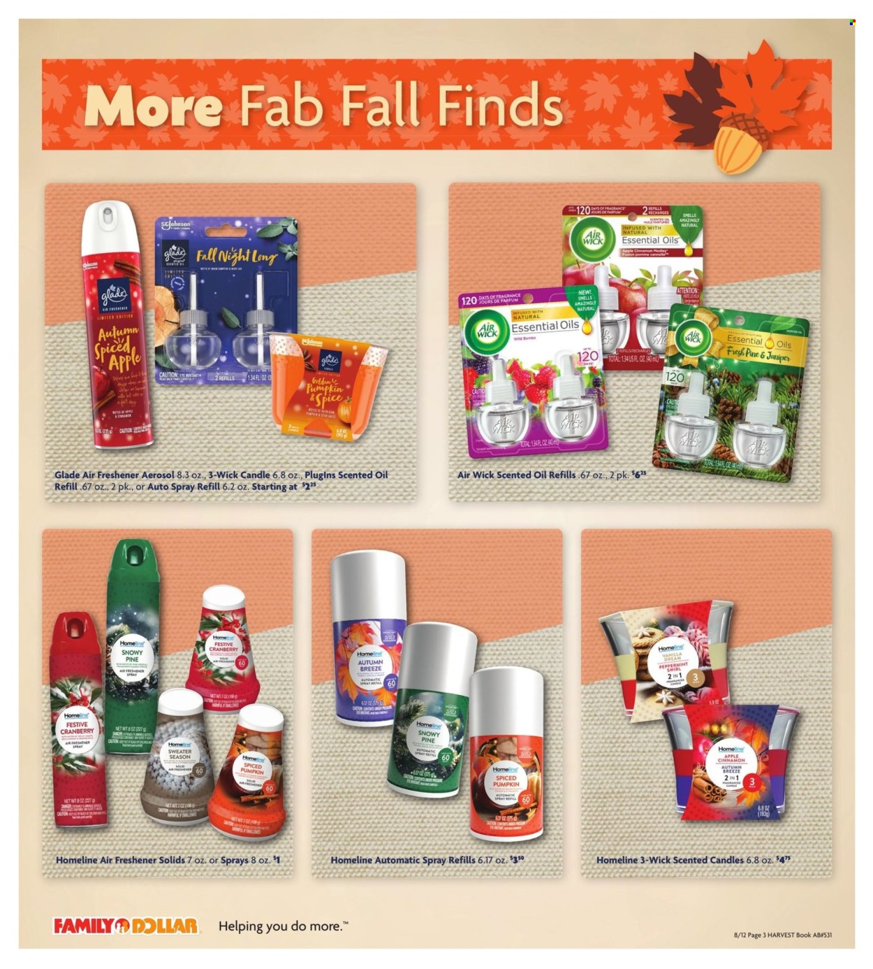 Family Dollar ad - 08/12/2024 - 10/31/2024. Page 4
