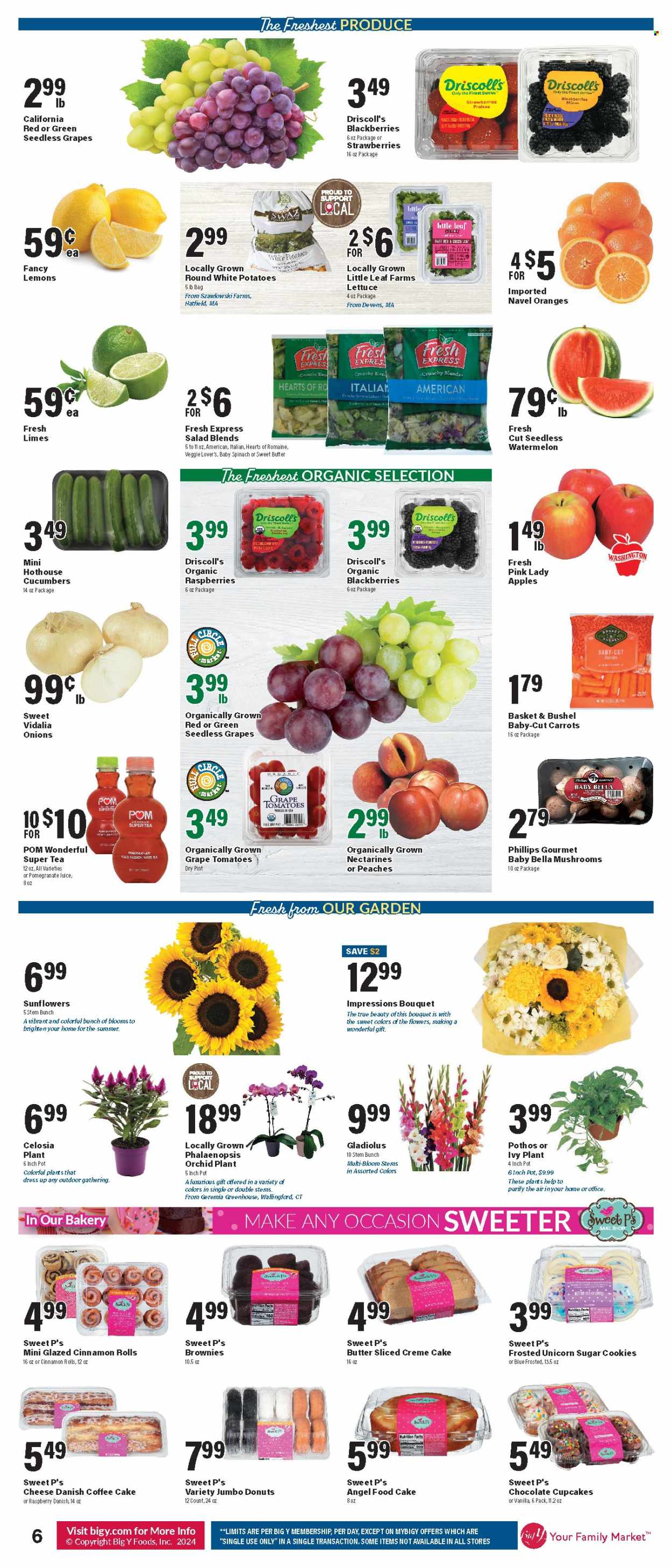 Big Y ad - 08/15/2024 - 08/21/2024. Page 7