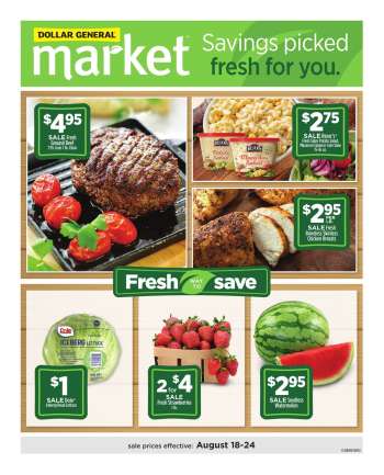 Dollar General Flyer - 08/18/2024 - 08/24/2024.