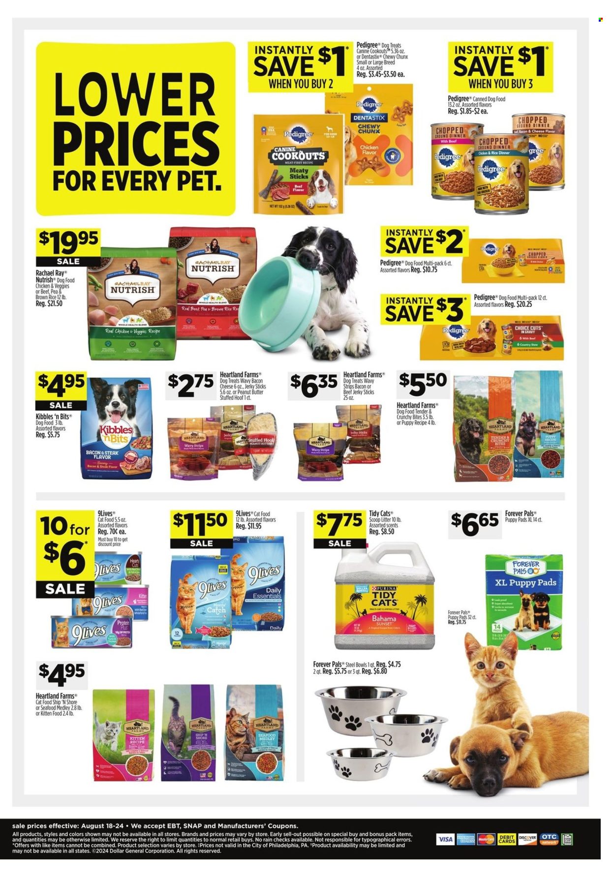 Dollar General ad - 08/18/2024 - 08/24/2024. Page 9