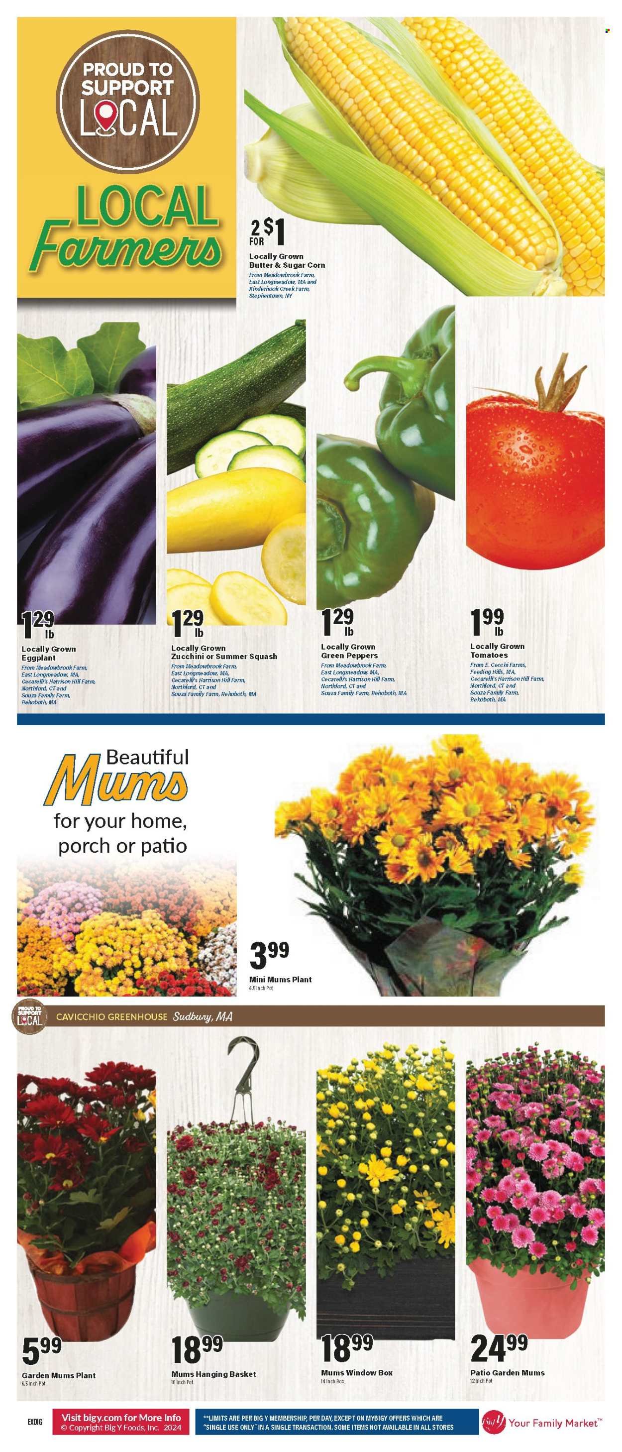 Big Y ad - 08/22/2024 - 08/28/2024. Page 2