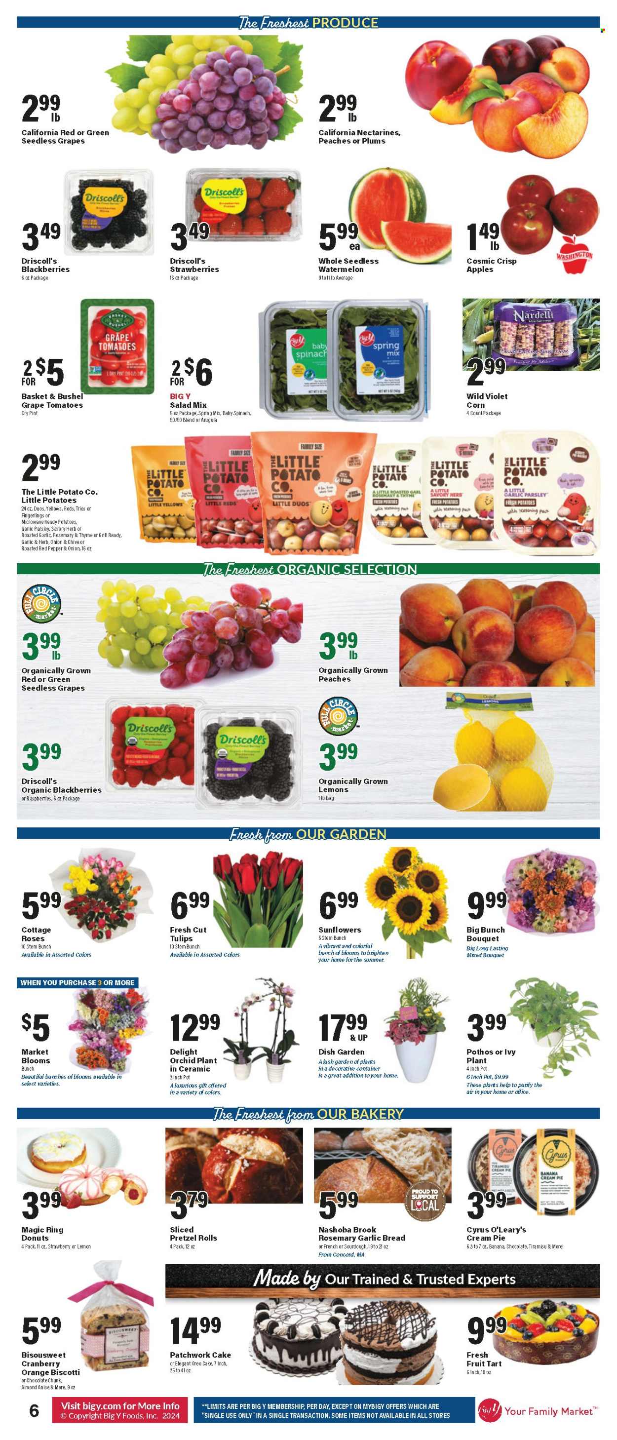 Big Y ad - 08/22/2024 - 08/28/2024. Page 7