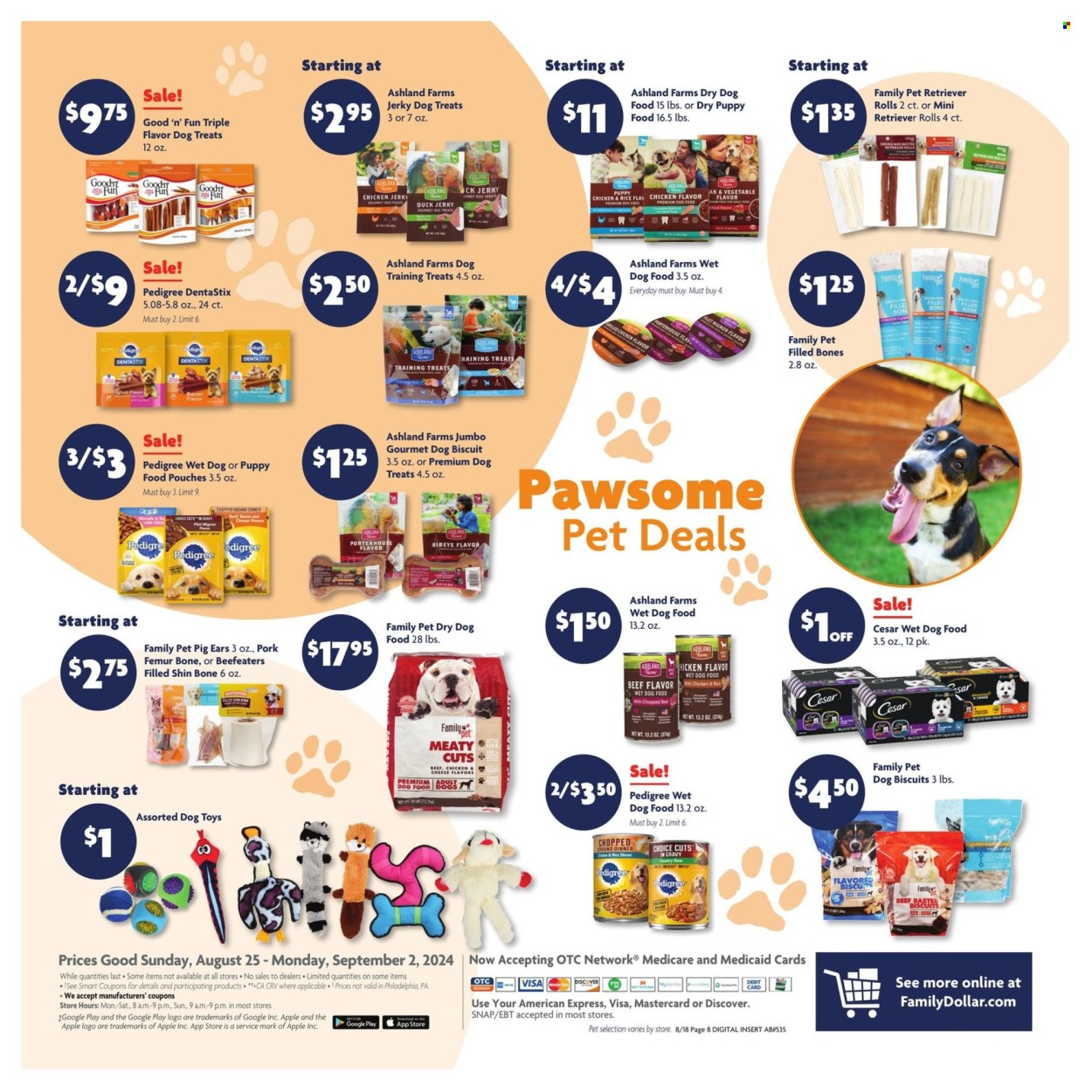 Family Dollar ad - 08/25/2024 - 09/02/2024. Page 13