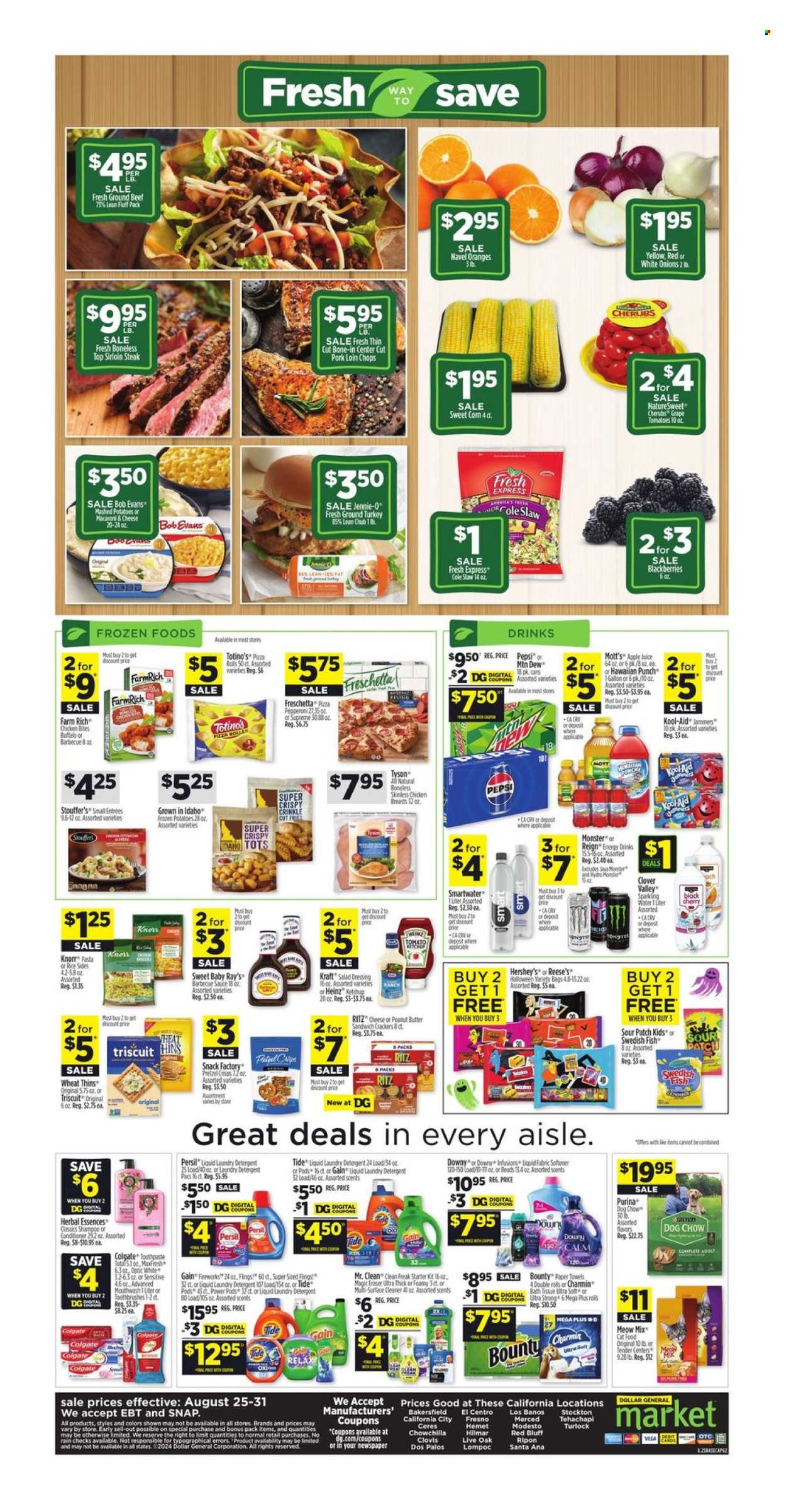 Dollar General ad - 08/25/2024 - 08/31/2024. Page 2
